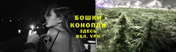 соль ск Абаза