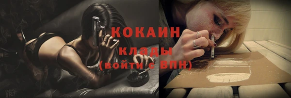 соль ск Абаза