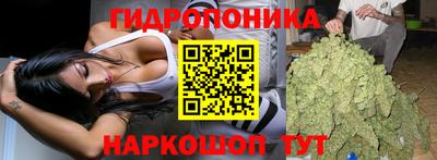 гашиш Кимры